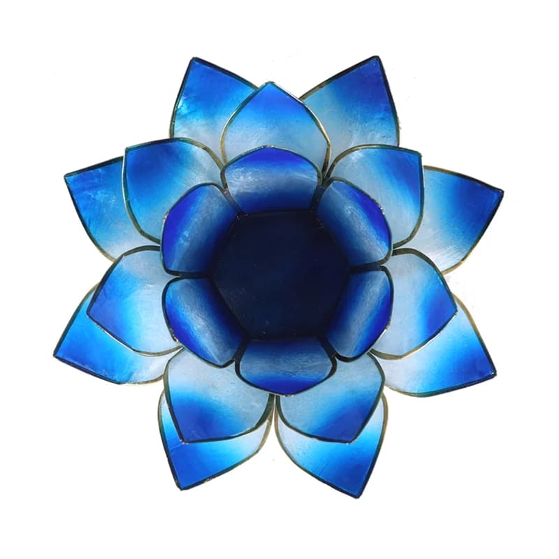 Loto illuminazione d'atmosfera in Conchiglia Lapiz - Portalumino blu | Scopri su Clorophilla Shop