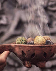 Sagrada Madre BOMBITA Smudge di Erbe naturali artigianali - Benzoino e Muschio | Scopri su Clorophilla Shop