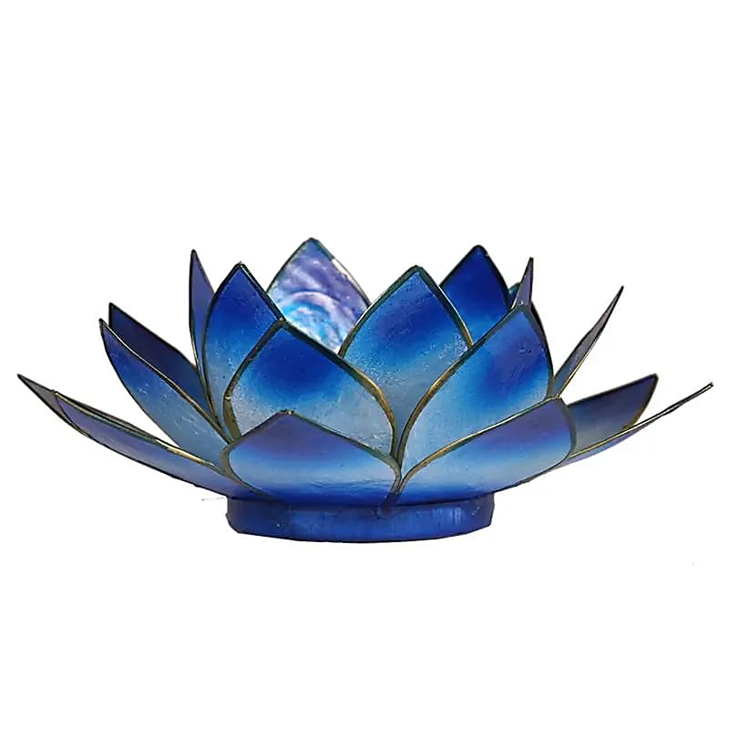 Loto illuminazione d'atmosfera in Conchiglia Lapiz - Portalumino blu | Scopri su Clorophilla Shop