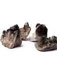 Drusa Quarzo Fumè grezza - Origine Brasile - Pietra da 6-12cm | Scopri su Clorophilla Shop