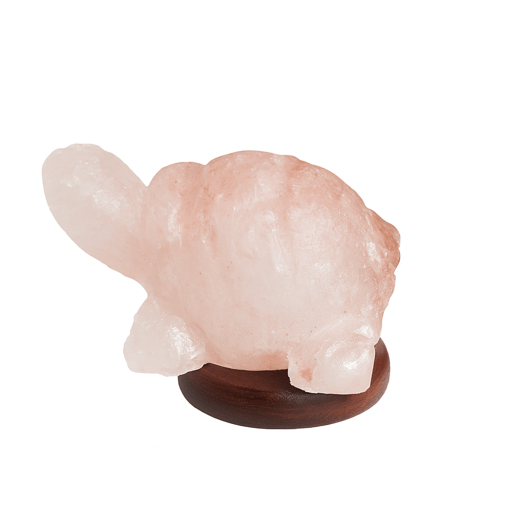 Lampada di sale rosa dell'Himalaya USB a forma di tartaruga - 600g - Clorophilla Shop