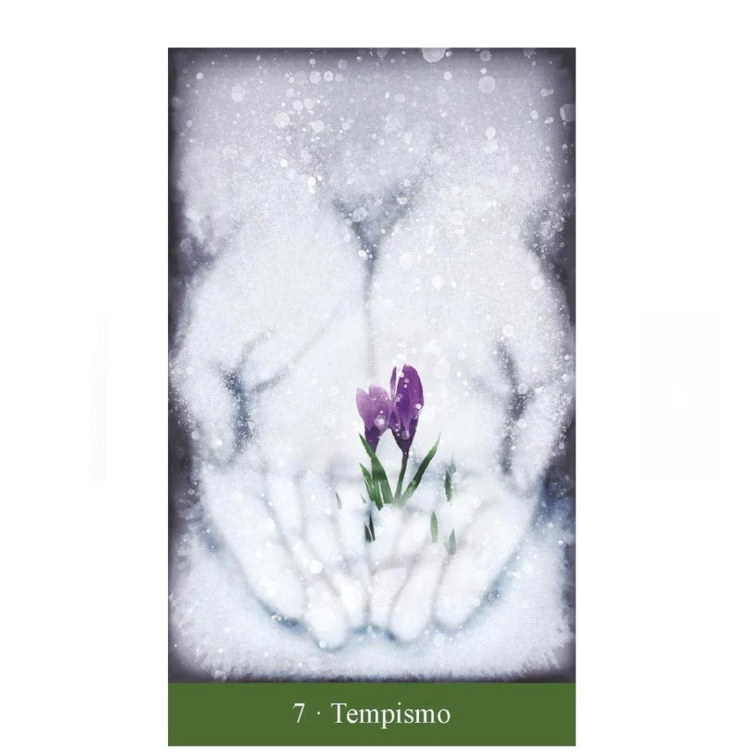 Lo Scarabeo "I tarocchi del Divino Femminile" kit - 78 carte con libro | Scopri su Clorophilla Shop
