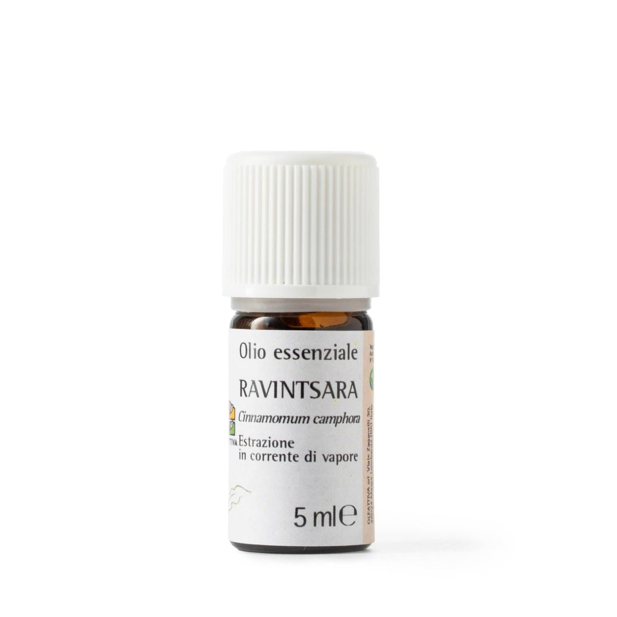 OLFATTIVA OLIO ESSENZIALE RAVINTSARA - Antivirale, antisettico e antibatterico - Clorophilla Shop