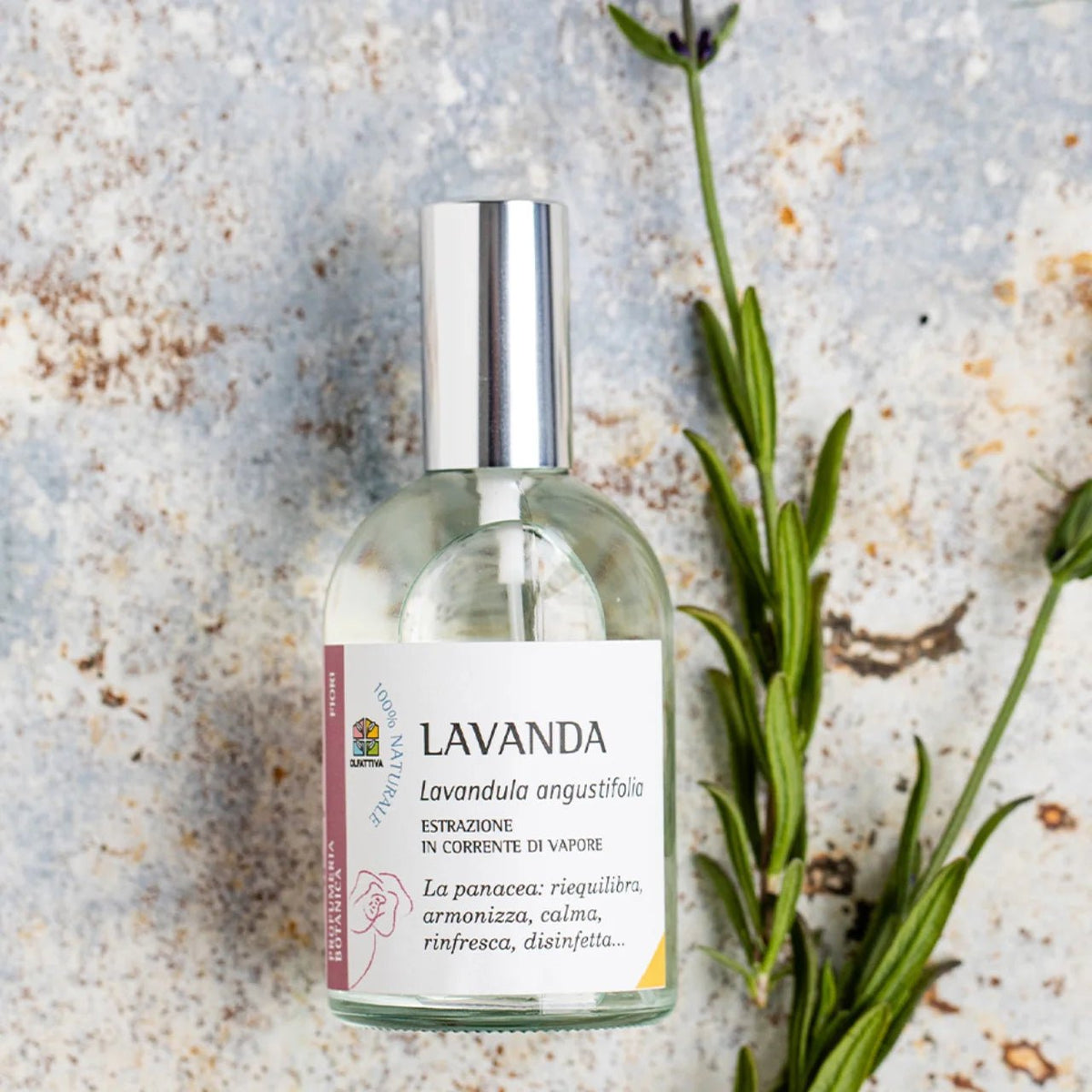 OLFATTIVA PROFUMO BOTANICO AROMATERAPIA - Lavanda - Clorophilla Shop