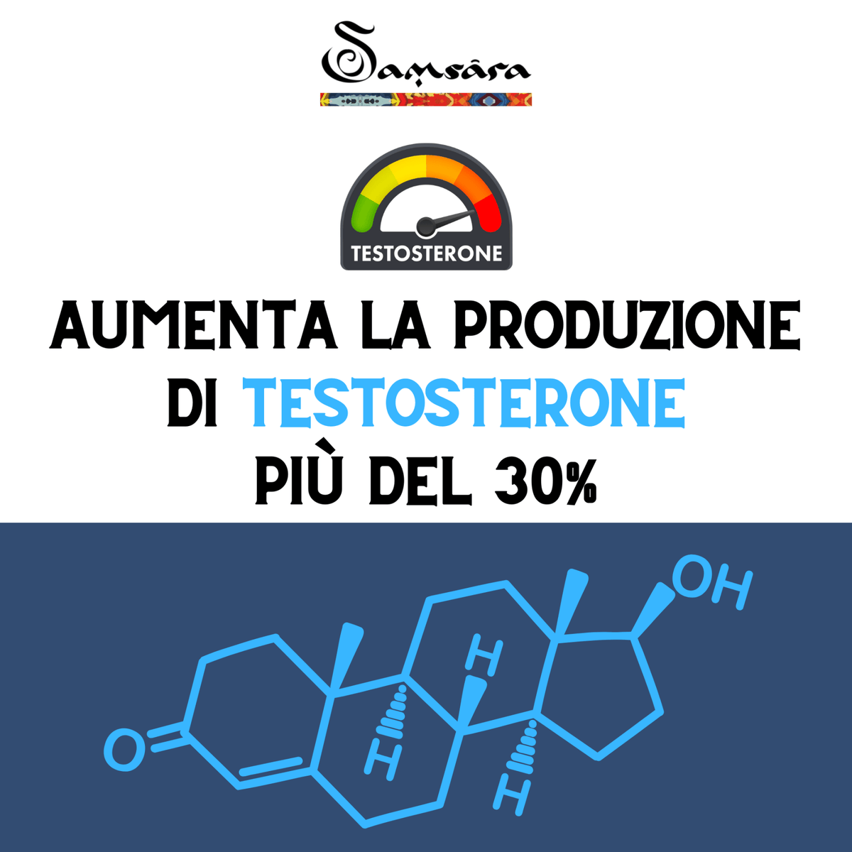 Samsara Shilajit TESTOSTERONE PLUS | Ashwagandha ksm-66 | Estratto di Tribulus Terrestris | +30% Testosterone