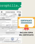 SET BASTONCINI LEGNO DI PALO SANTO RICOPERTI - Lavanda, Rosa e Dragon's blood - Clorophilla Shop