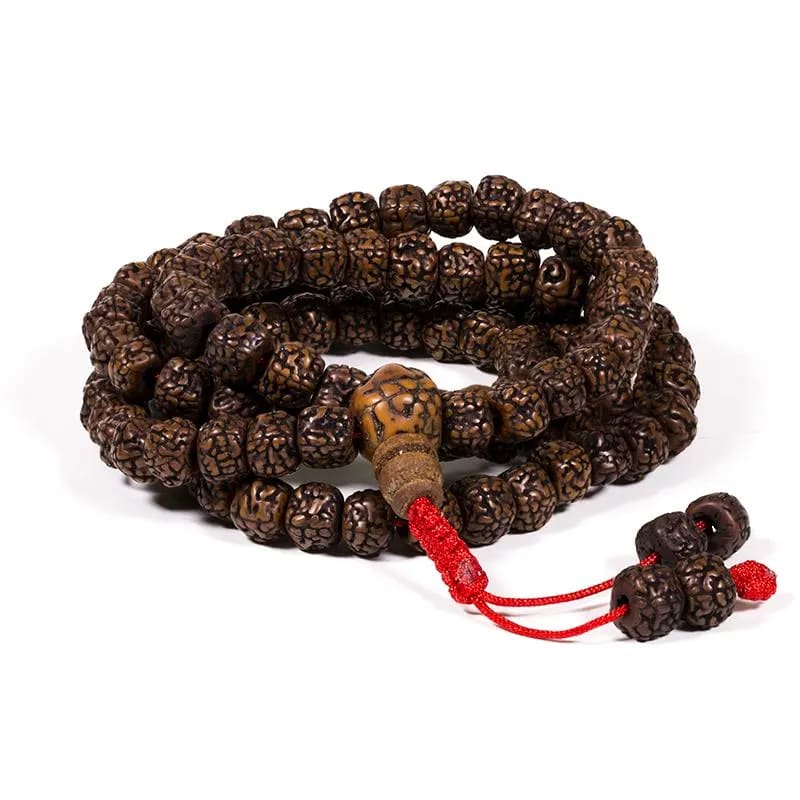Mala Tibetana in Rudraksha - Collana Rosario 108 Grani Lucidati | Scopri su Clorophilla Shop