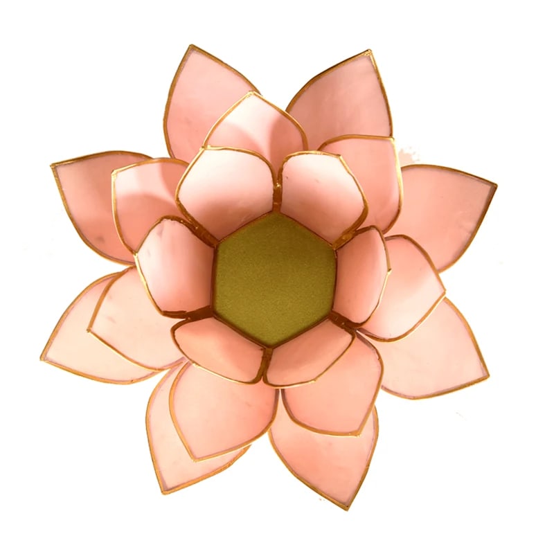Loto illuminazione d'atmosfera in Conchiglia Lapiz - Portalumino rosa | Scopri su Clorophilla Shop