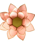 Loto illuminazione d'atmosfera in Conchiglia Lapiz - Portalumino rosa | Scopri su Clorophilla Shop