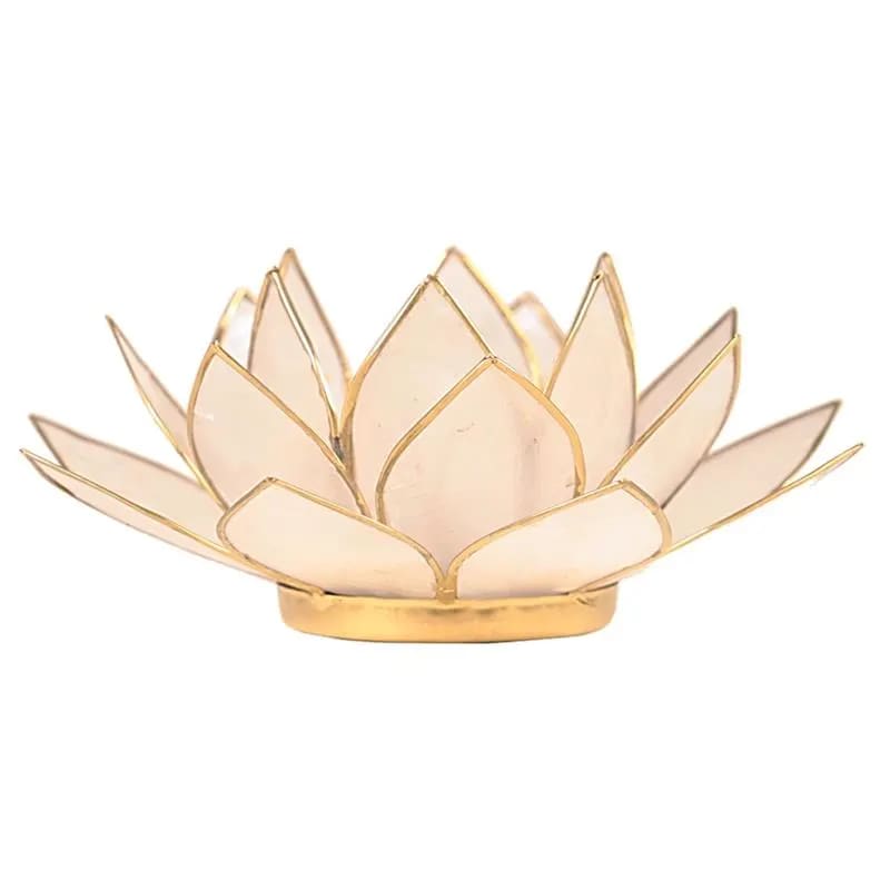 Loto illuminazione d'atmosfera in Conchiglia Lapiz - Portalumino naturale | Scopri su Clorophilla Shop