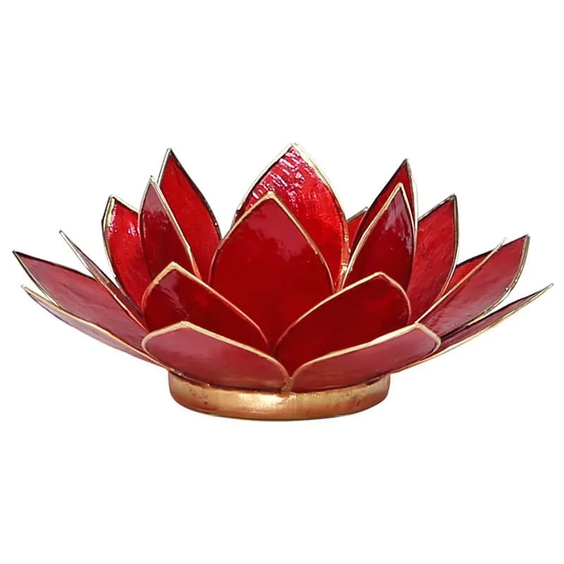 Loto illuminazione d'atmosfera in Conchiglia Lapiz 1 Chakra - Portalumino rosso | Scopri su Clorophilla Shop