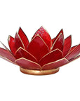 Loto illuminazione d'atmosfera in Conchiglia Lapiz 1 Chakra - Portalumino rosso | Scopri su Clorophilla Shop