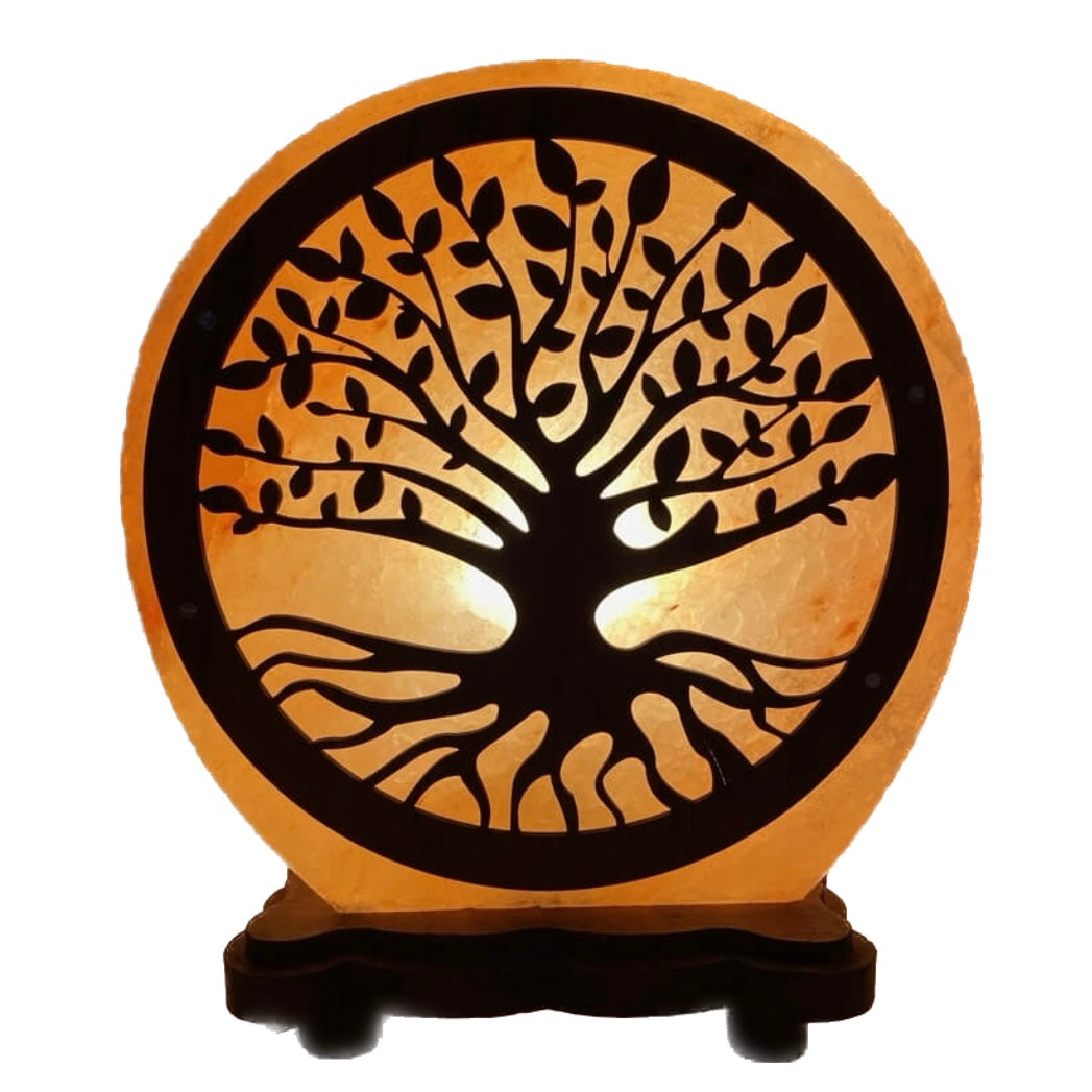 LAMPADA DI SALE ALBERO DELLA VITA - 5kg | Scopri su Clorophilla Shop