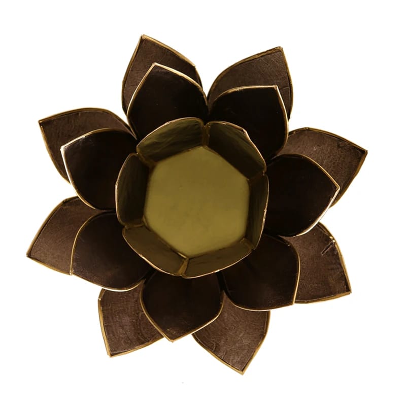Loto illuminazione d'atmosfera in Conchiglia Lapiz - Portalumino nero | Scopri su Clorophilla Shop