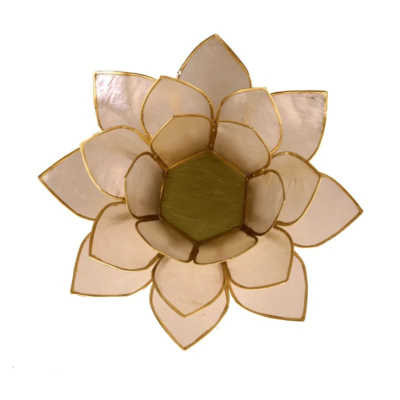 Loto illuminazione d'atmosfera in Conchiglia Lapiz - Portalumino naturale | Scopri su Clorophilla Shop