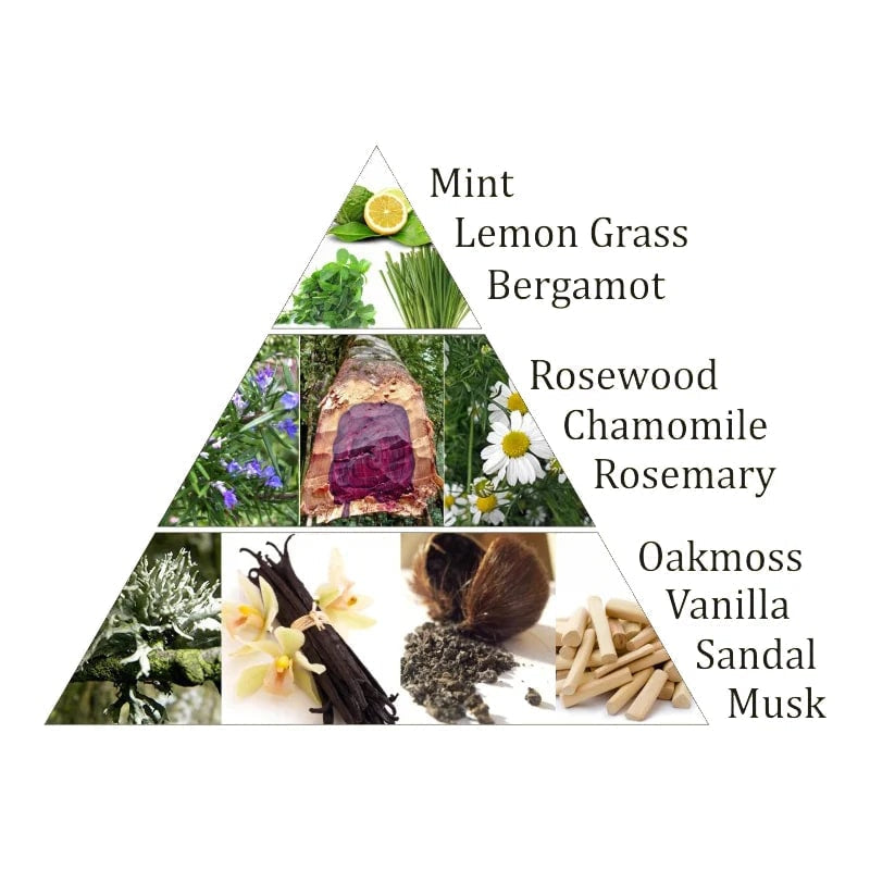 Aromafume Manipura 3 Chakra del Plesso Solare Mattoncini Incenso 7 Chakra - 9 bricks | Scopri su Clorophilla Shop