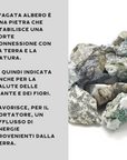 AGATA ALBERO GREZZA - Connessione con la terra e la natura | Scopri su Clorophilla Shop