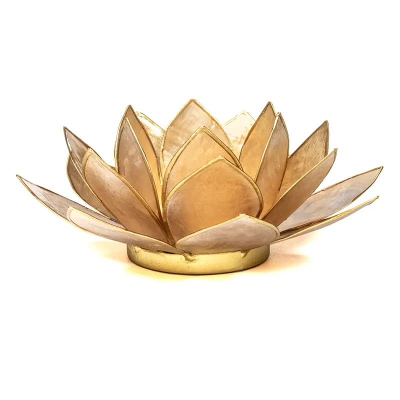 Loto illuminazione d'atmosfera in Conchiglia Lapiz - Portalumino beige/fumè | Scopri su Clorophilla Shop