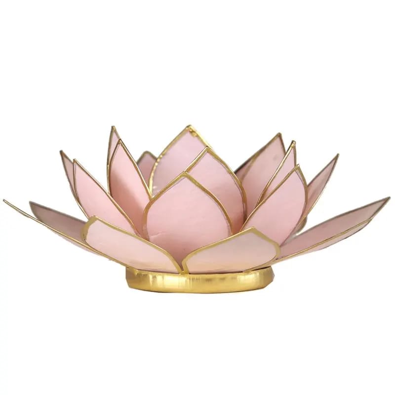 Loto illuminazione d'atmosfera in Conchiglia Lapiz - Portalumino rosa | Scopri su Clorophilla Shop