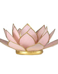 Loto illuminazione d'atmosfera in Conchiglia Lapiz - Portalumino rosa | Scopri su Clorophilla Shop