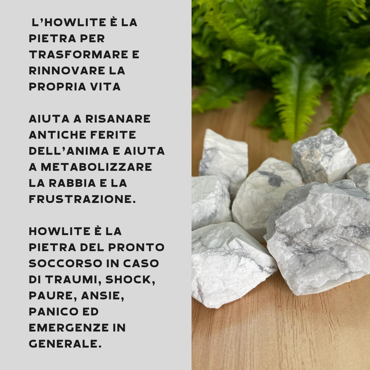 Howlite Grezza Origine Zimbabwe - Pietra da 4-7cm | Scopri su Clorophilla Shop