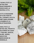 Howlite Grezza Origine Zimbabwe - Pietra da 4-7cm | Scopri su Clorophilla Shop