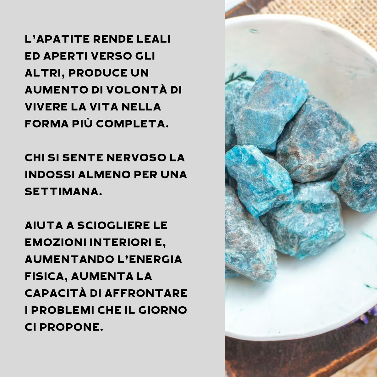 APATITE GREZZA - Estroversione e focalizzazione | Scopri su Clorophilla Shop