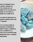 APATITE GREZZA - Estroversione e focalizzazione | Scopri su Clorophilla Shop