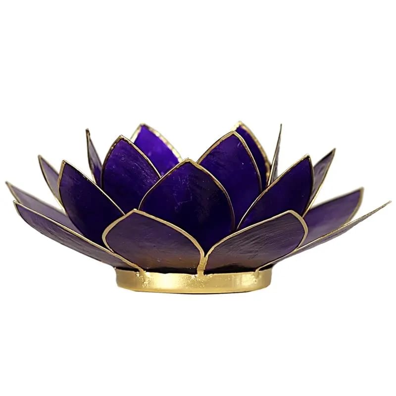 Loto illuminazione d'atmosfera in Conchiglia Lapiz 7 Chakra - Portalumino viola | Scopri su Clorophilla Shop