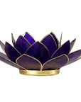 Loto illuminazione d'atmosfera in Conchiglia Lapiz 7 Chakra - Portalumino viola | Scopri su Clorophilla Shop
