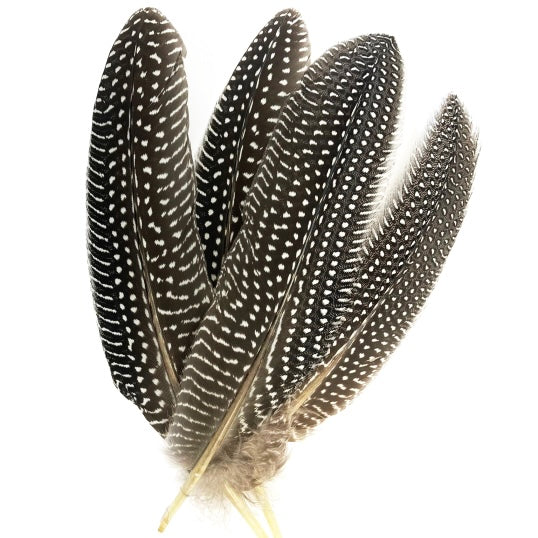 Piuma Pulizia energetica per fumigazione - 20-25cm | Scopri su Clorophilla Shop