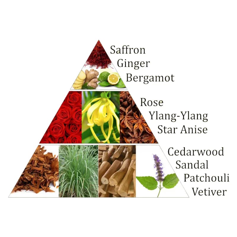 Aromafume Muladhara 1 Chakra della Radice Mattoncini Incenso 7 Chakra - 9 bricks | Scopri su Clorophilla Shop