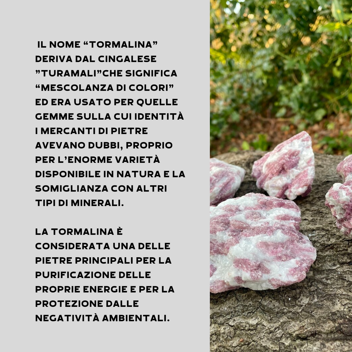 Tormalina Rosa Grezza con Quarzo Origine Brasile - Pietra 3/6cm | Scopri su Clorophilla Shop