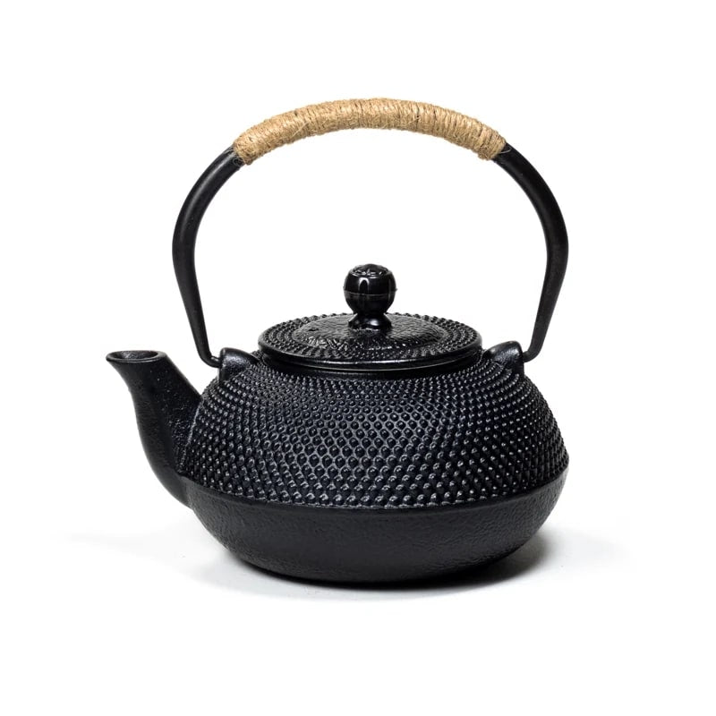 Teiera Tetsubin in Ghisa Stile Giapponese da 0,6 litri - Filtro in Acciaio incluso | Scopri su Clorophilla Shop