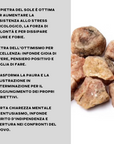 Pietra del Sole (Eliolite) Grezza Origine India - Pietra da 4-6cm | Scopri su Clorophilla Shop