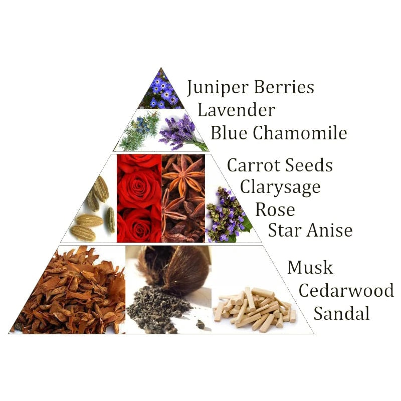 Aromafume Ajna 6 Chakra del Terzo Occhio - Mattoncini Incenso 7 Chakra - 9 bricks | Scopri su Clorophilla Shop