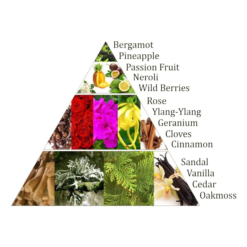 Aromafume Anahata 4 Chakra del Cuore Mattoncini Incenso 7 Chakra - 9 bricks | Scopri su Clorophilla Shop