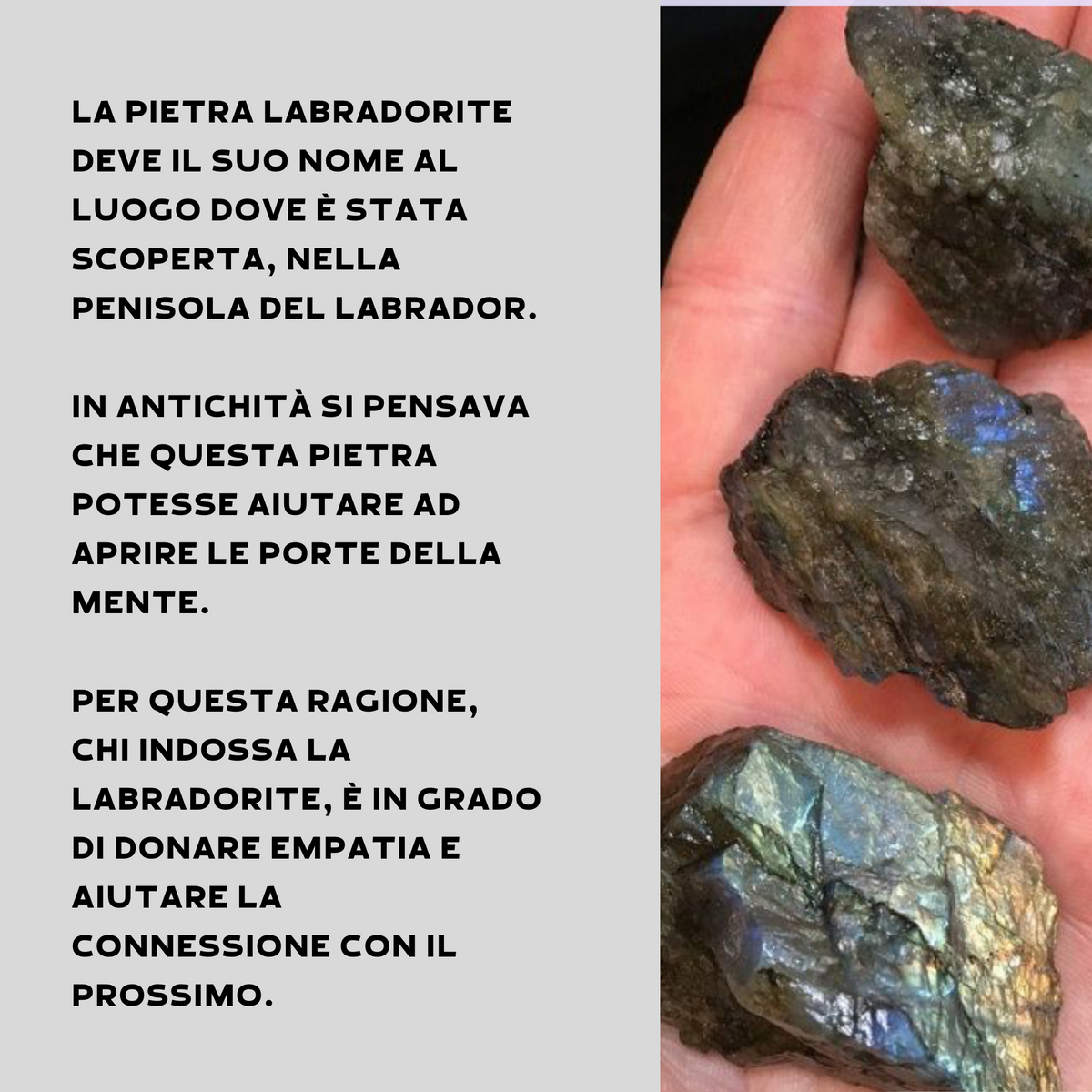 Labradorite Grezza - Origine Madagascar - Pietra da 3-6cm | Scopri su Clorophilla Shop