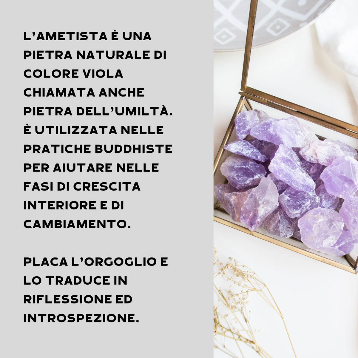 AMETISTA GREZZA - Calma e rilassamento | Scopri su Clorophilla Shop