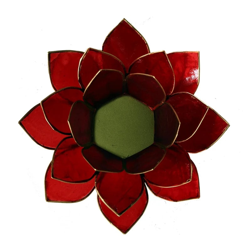Loto illuminazione d'atmosfera in Conchiglia Lapiz 1 Chakra - Portalumino rosso | Scopri su Clorophilla Shop