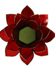 Loto illuminazione d'atmosfera in Conchiglia Lapiz 1 Chakra - Portalumino rosso | Scopri su Clorophilla Shop