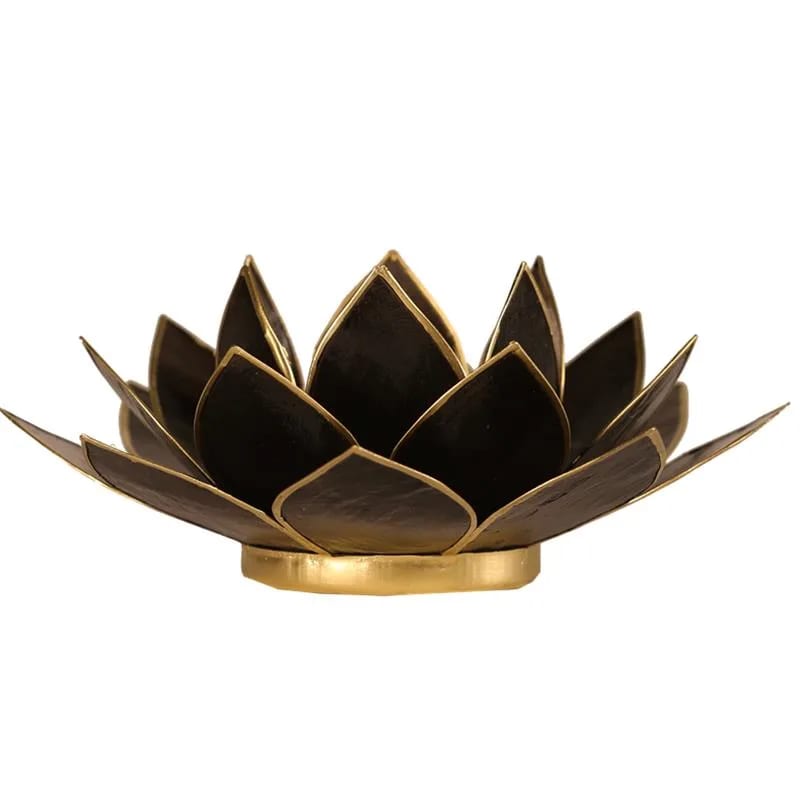 Loto illuminazione d'atmosfera in Conchiglia Lapiz - Portalumino nero | Scopri su Clorophilla Shop