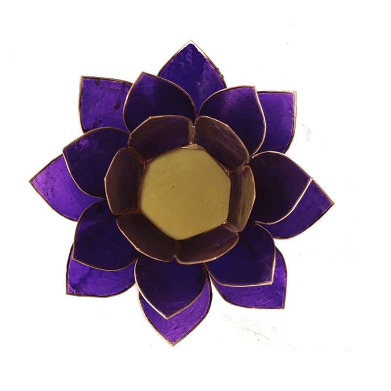 Loto illuminazione d'atmosfera in Conchiglia Lapiz 7 Chakra - Portalumino viola | Scopri su Clorophilla Shop