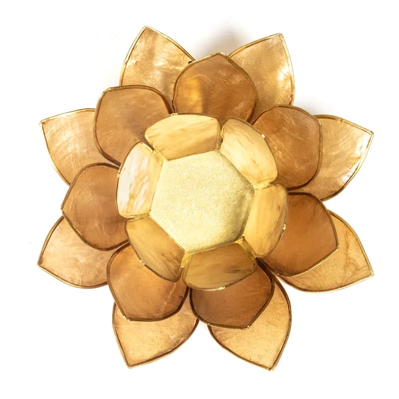 Loto illuminazione d'atmosfera in Conchiglia Lapiz - Portalumino beige/fumè | Scopri su Clorophilla Shop